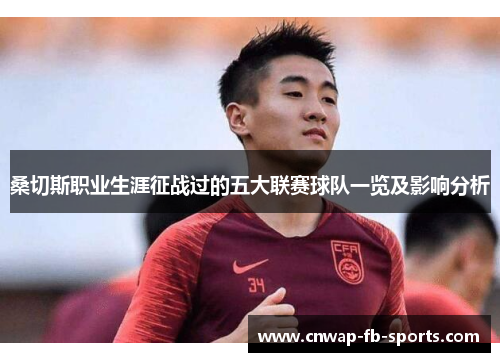 桑切斯职业生涯征战过的五大联赛球队一览及影响分析