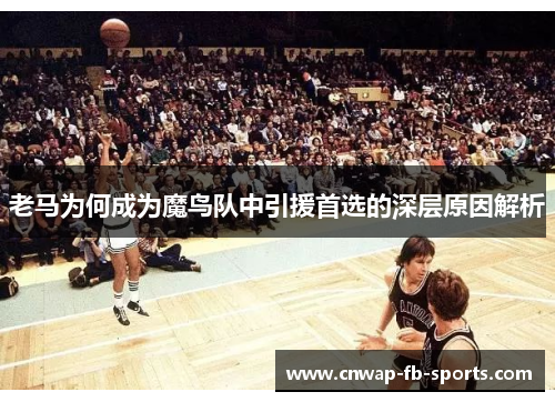老马为何成为魔鸟队中引援首选的深层原因解析