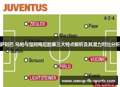 萨利巴 乌帕与楚阿梅尼胶囊三大特点解析及其潜力对比分析 萨利巴 乌帕与楚阿梅尼胶囊三大特点解析及其潜力对比分析