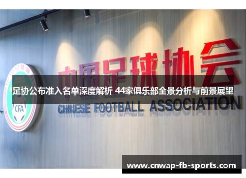 足协公布准入名单深度解析 44家俱乐部全景分析与前景展望