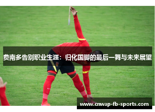 费南多告别职业生涯：归化国脚的最后一舞与未来展望