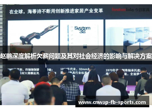 赵鹏深度解析欠薪问题及其对社会经济的影响与解决方案