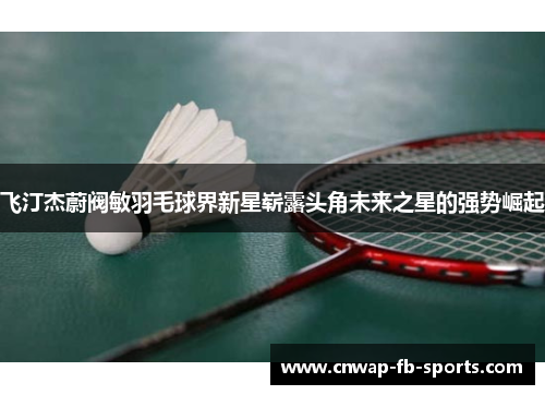 飞汀杰蔚阀敏羽毛球界新星崭露头角未来之星的强势崛起 飞汀杰蔚阀敏羽毛球界新星崭露头角未来之星的强势崛起